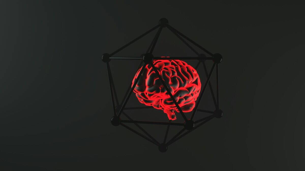 mirella-callage-gM6EKcjU-NU-unsplash