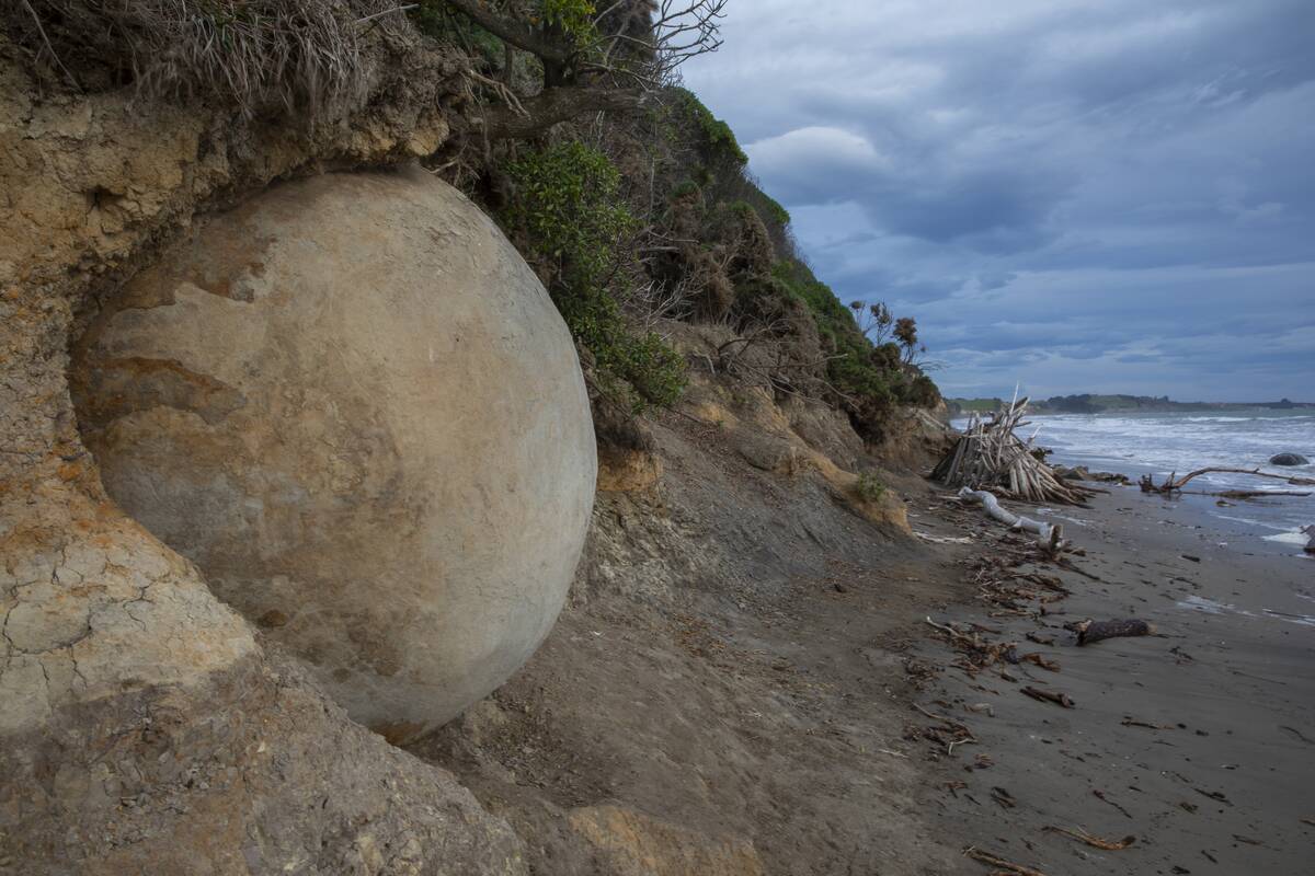 Moeraki Boulders