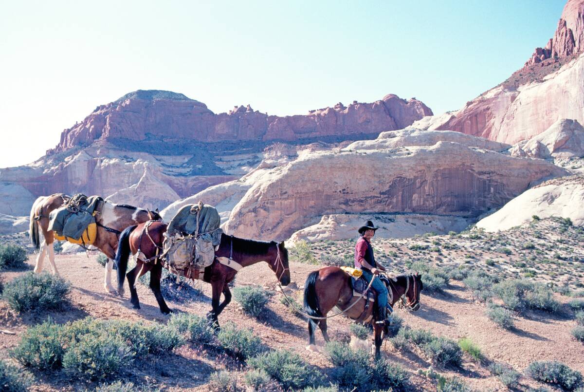 Navajo Trail, Utah
