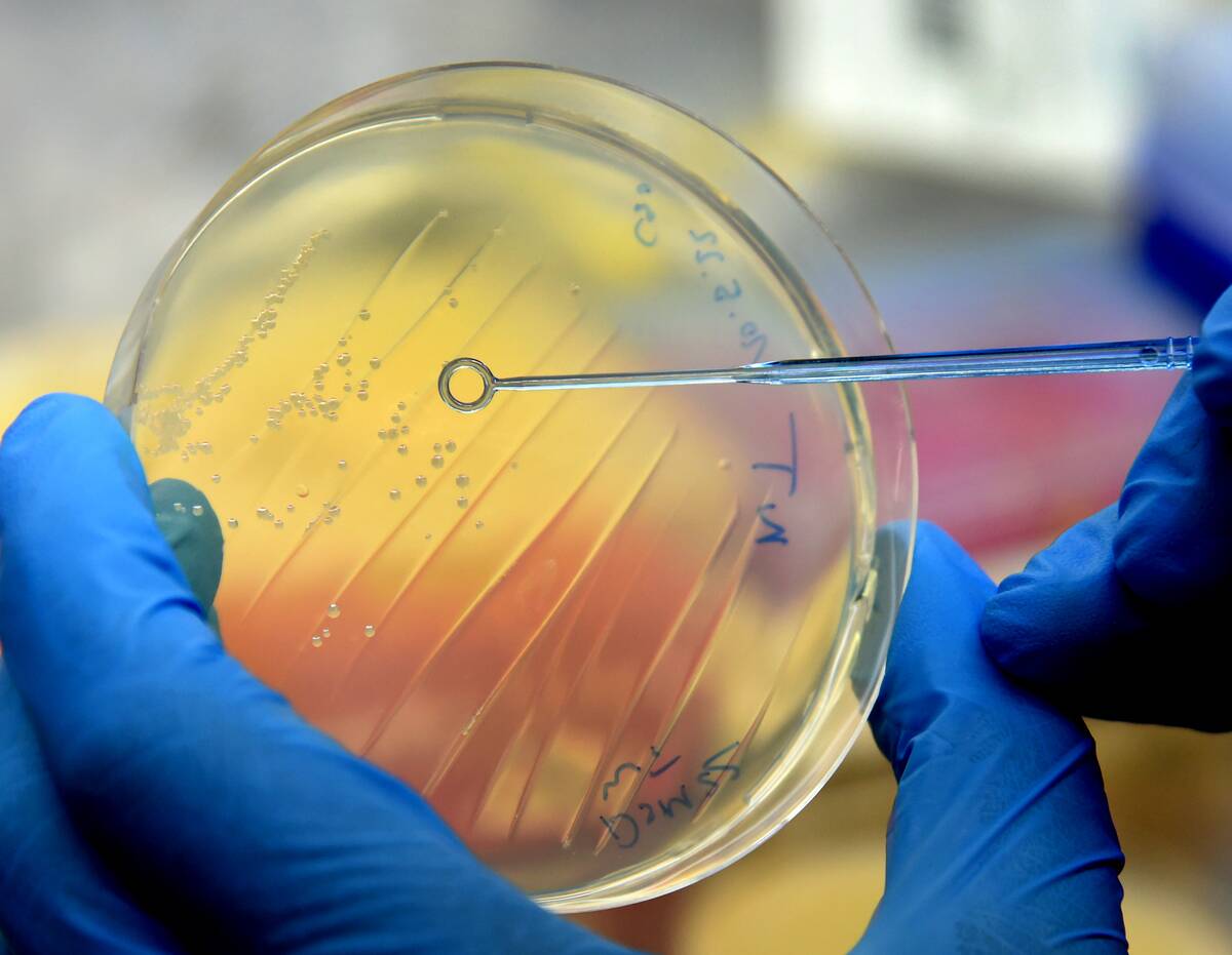 Newly discovered enzyme decomposes PET plastic much faster