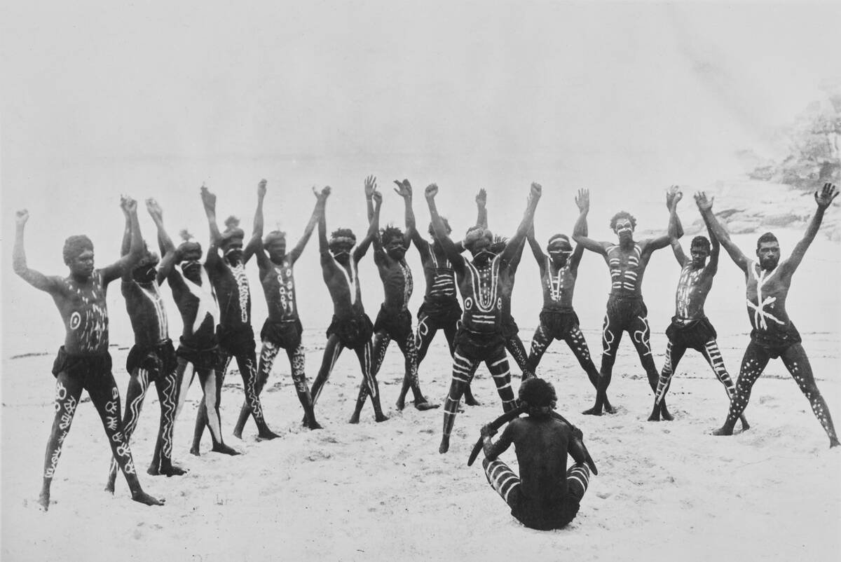 North Queensland Corroboree