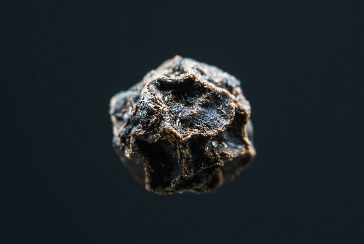 nowbelov-TXzLmu3HE3w-unsplash