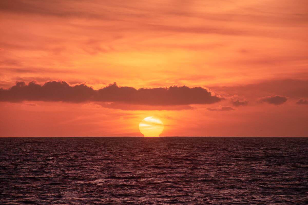 Obama Supporters From Hawaii
