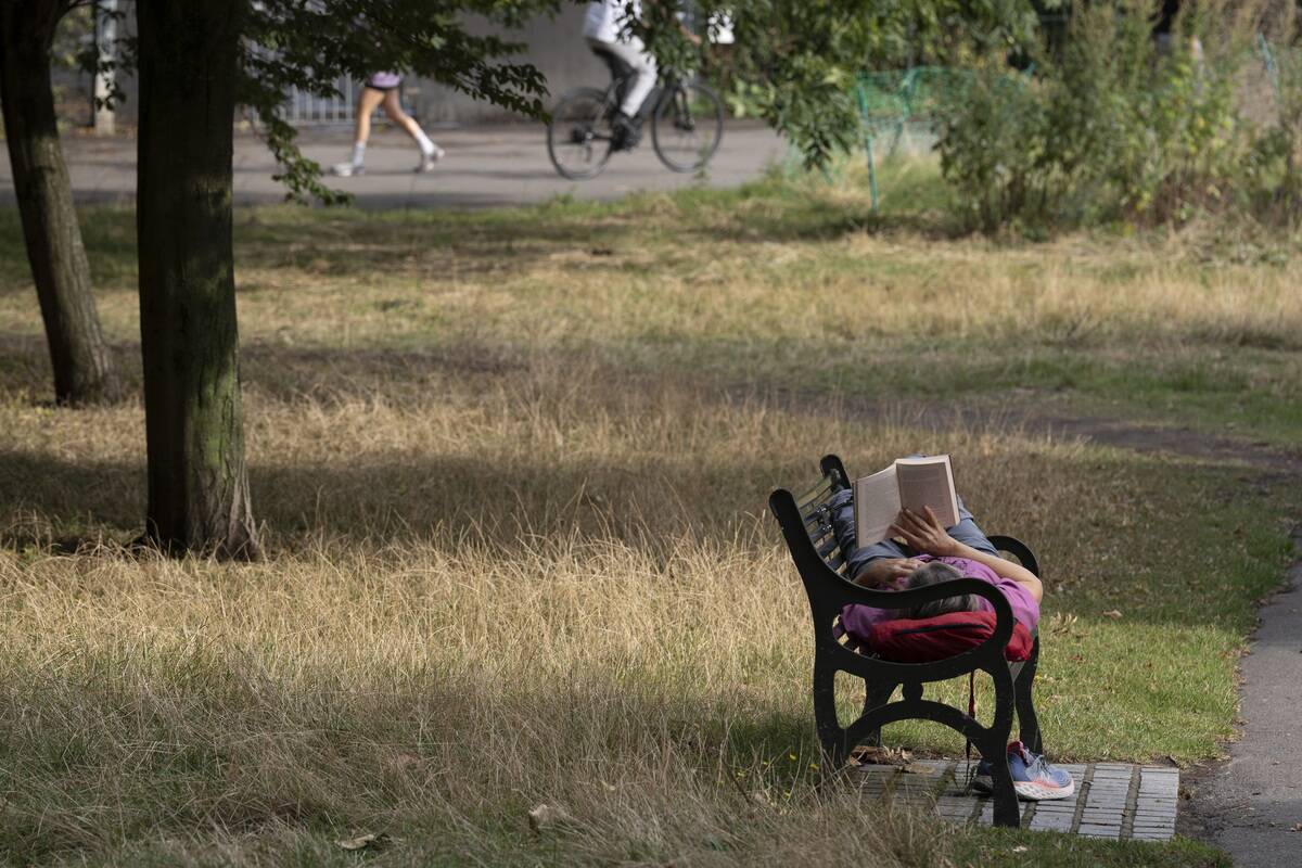 Park Person Reads Book