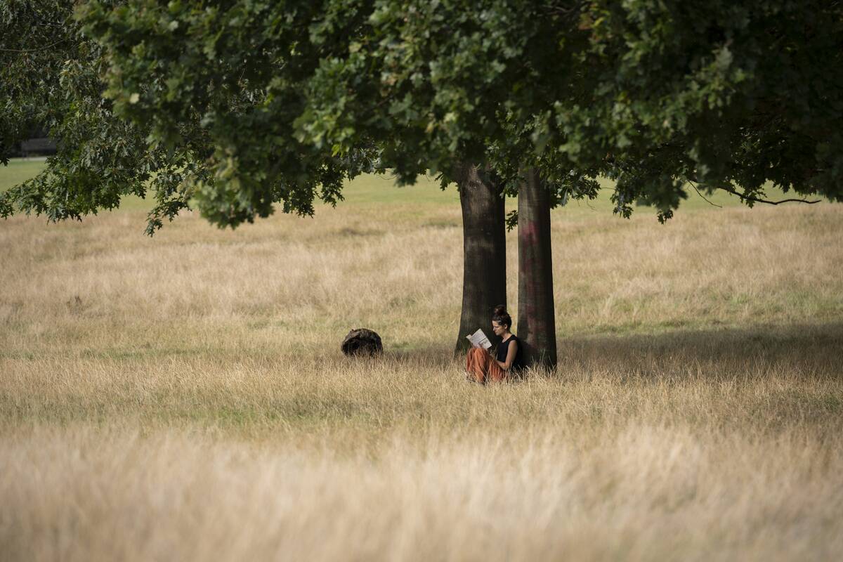 Park Person Reads Book