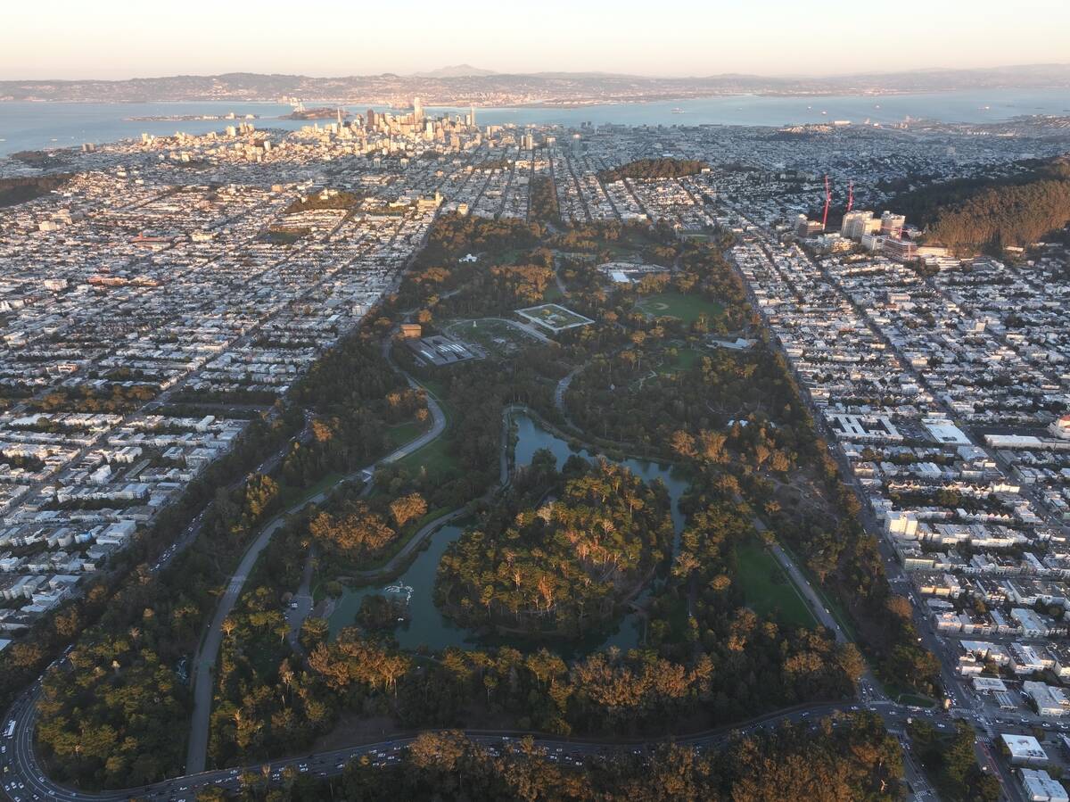 San Francisco view during sunset