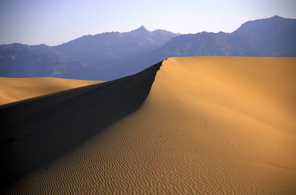 Sand dunes, Stovepipe Wells, Death Valley national park, California, USA