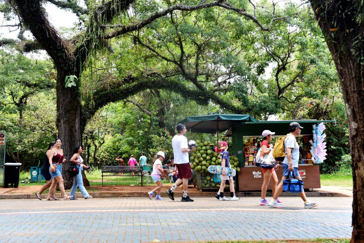 Scorching Heatwave Grips Brazil