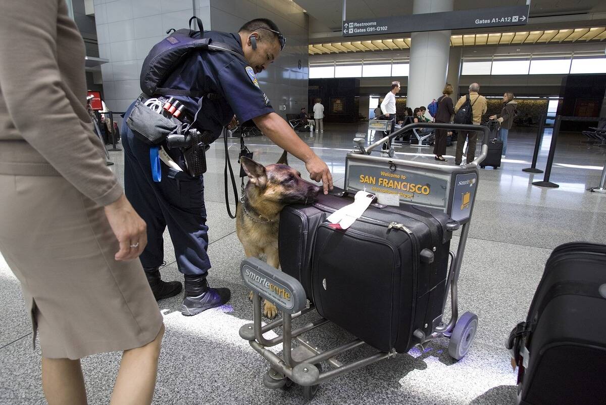Security Visible At Nations Airports Prior To 4th Of July Celebrations