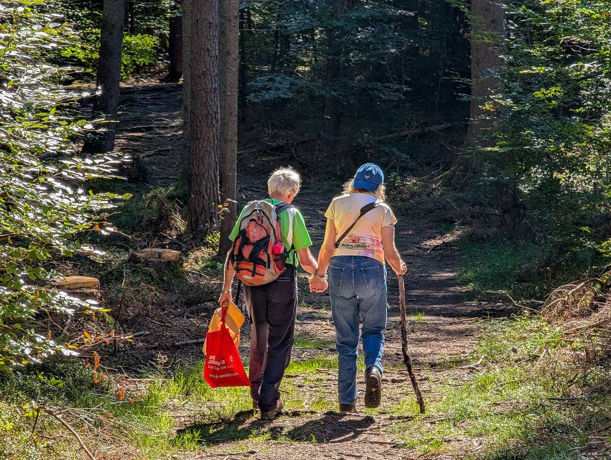 Senior Couple Hiking In The Forest