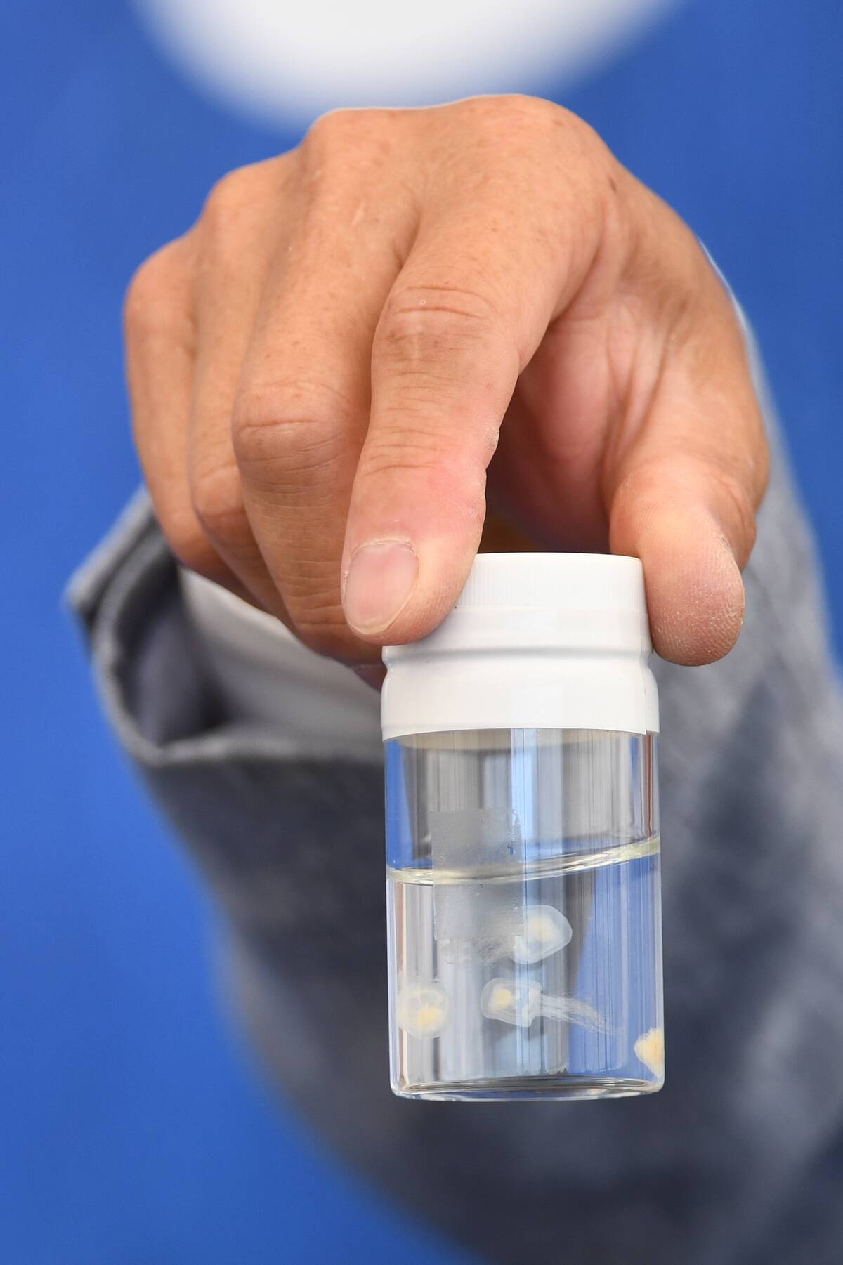 'Spira Mirabilis' Photocall - 73rd Venice Film Festival