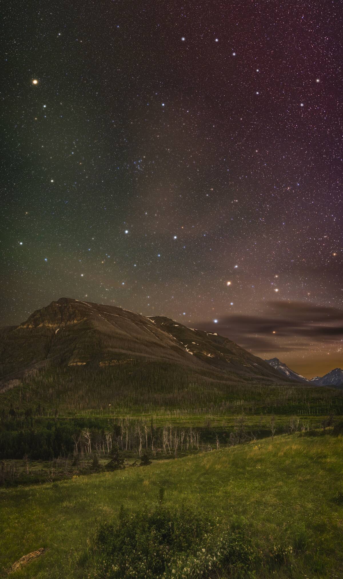 Spring Stars Over Crandell Mountain