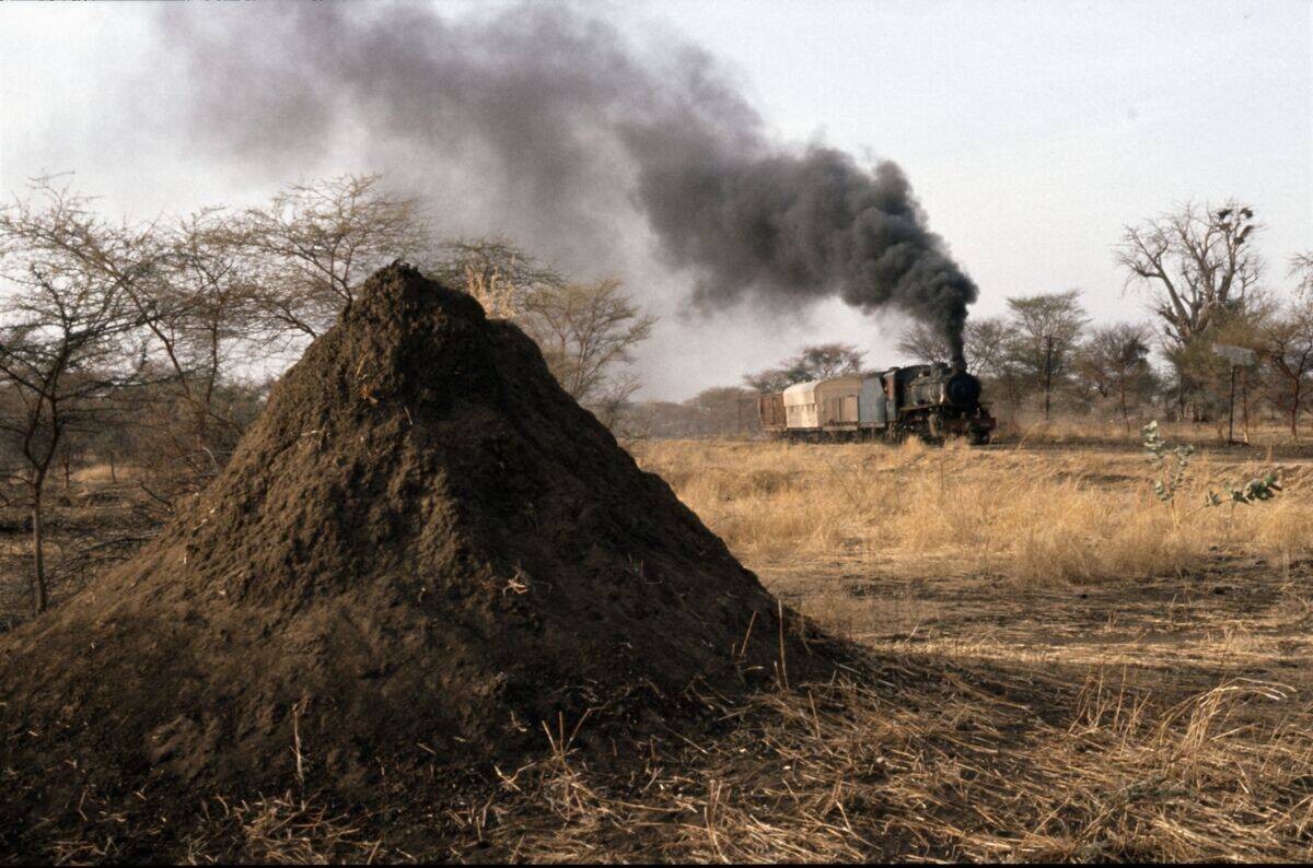 Sudan Railway's North British built Mikado No. 326 passes a termite mound on the Damazeen - Khor Doniya line on Friday 14th January 1983.