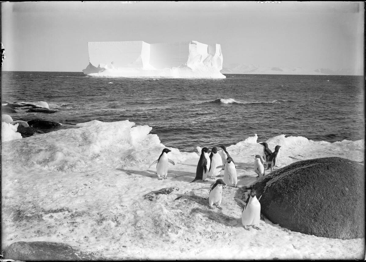 Terra Nova Expedition