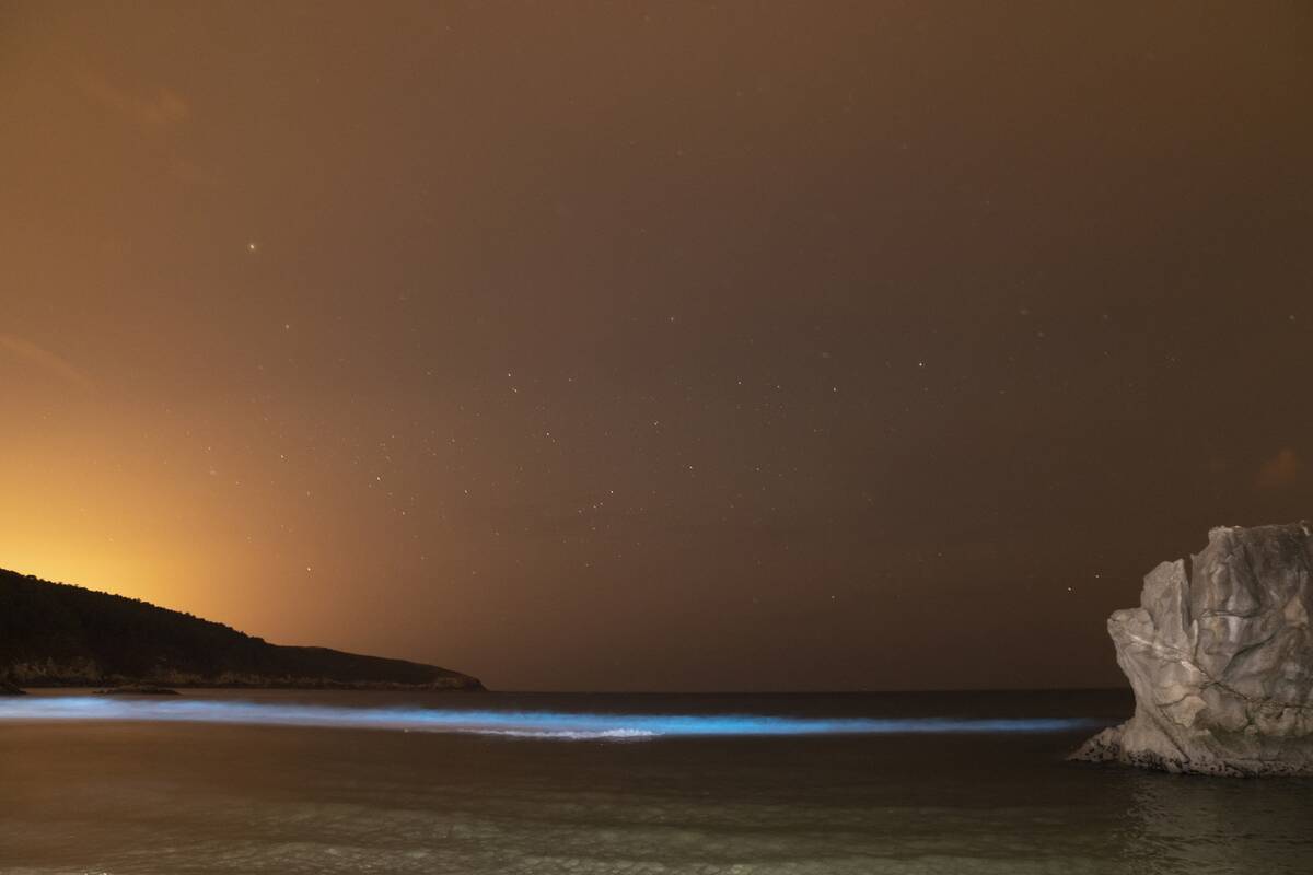 The Luminous Phenomenon Of Mar De Ardora On The Beach Of Rebordelo (a Coruña)