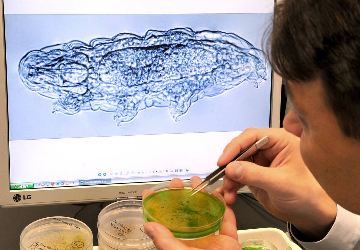 The secrets of Tardigrades