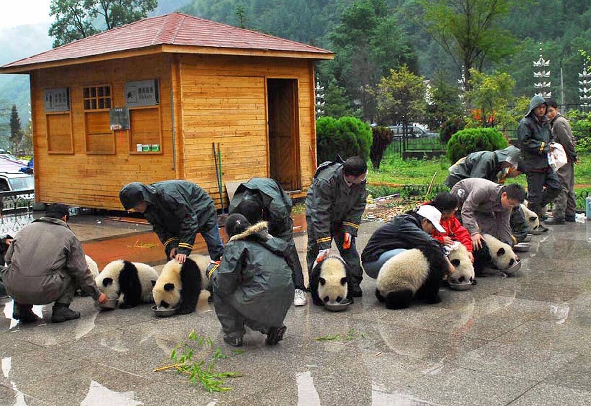 This photo taken on May 13, 2008 and rec