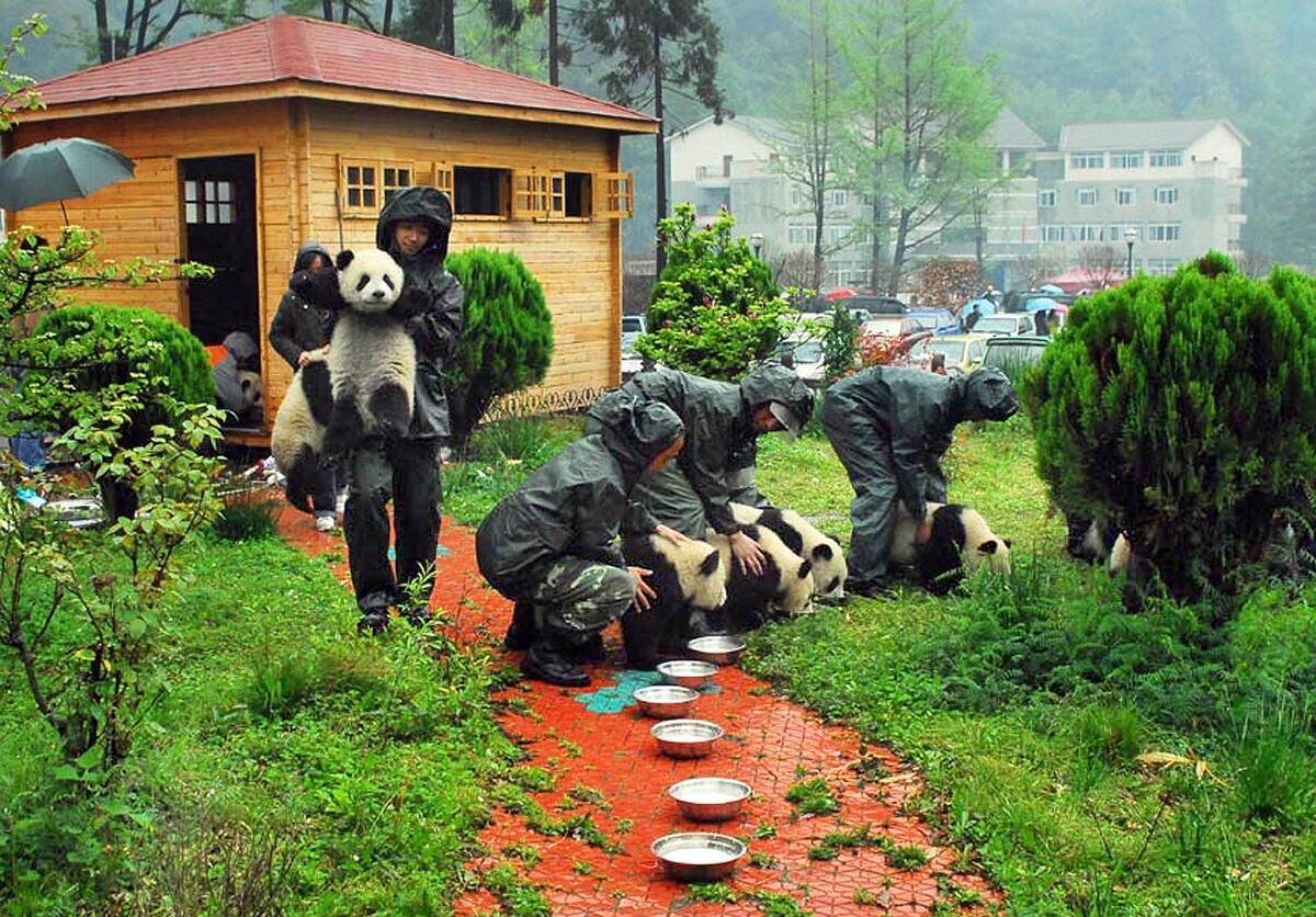 This photo taken on May 13, 2008 shows w