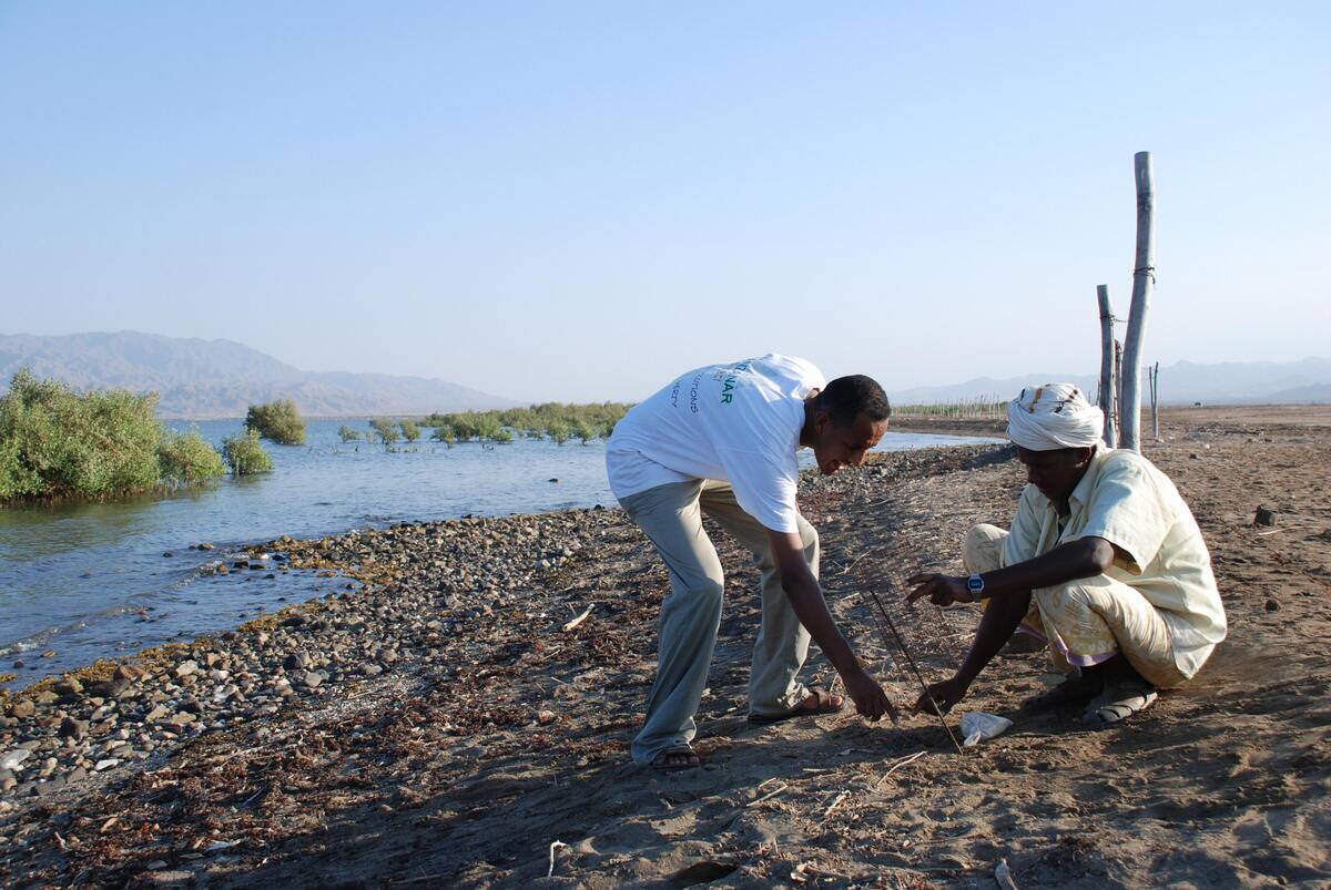 TO GO WITH AFP STORY BY PETER MARTELL Si