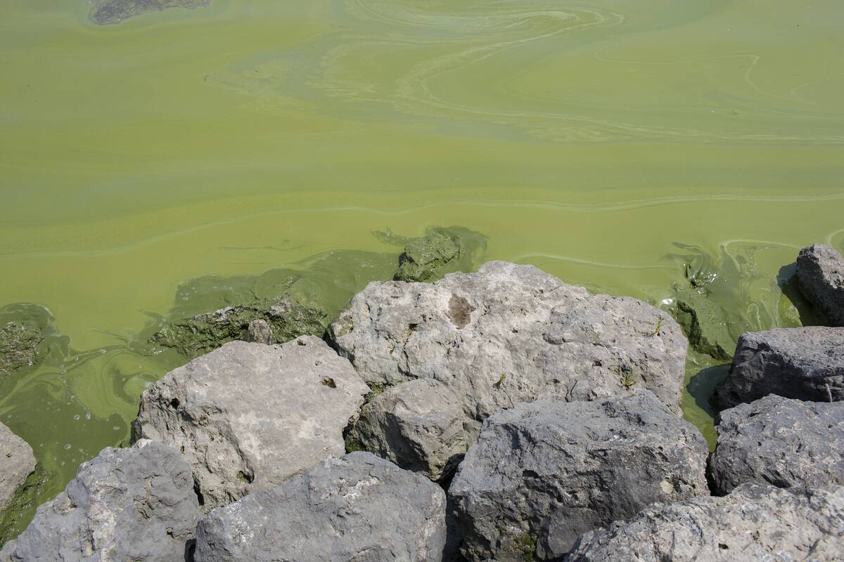 Toledo, Ohio Contends With Contaminated Tap Water For Third Day