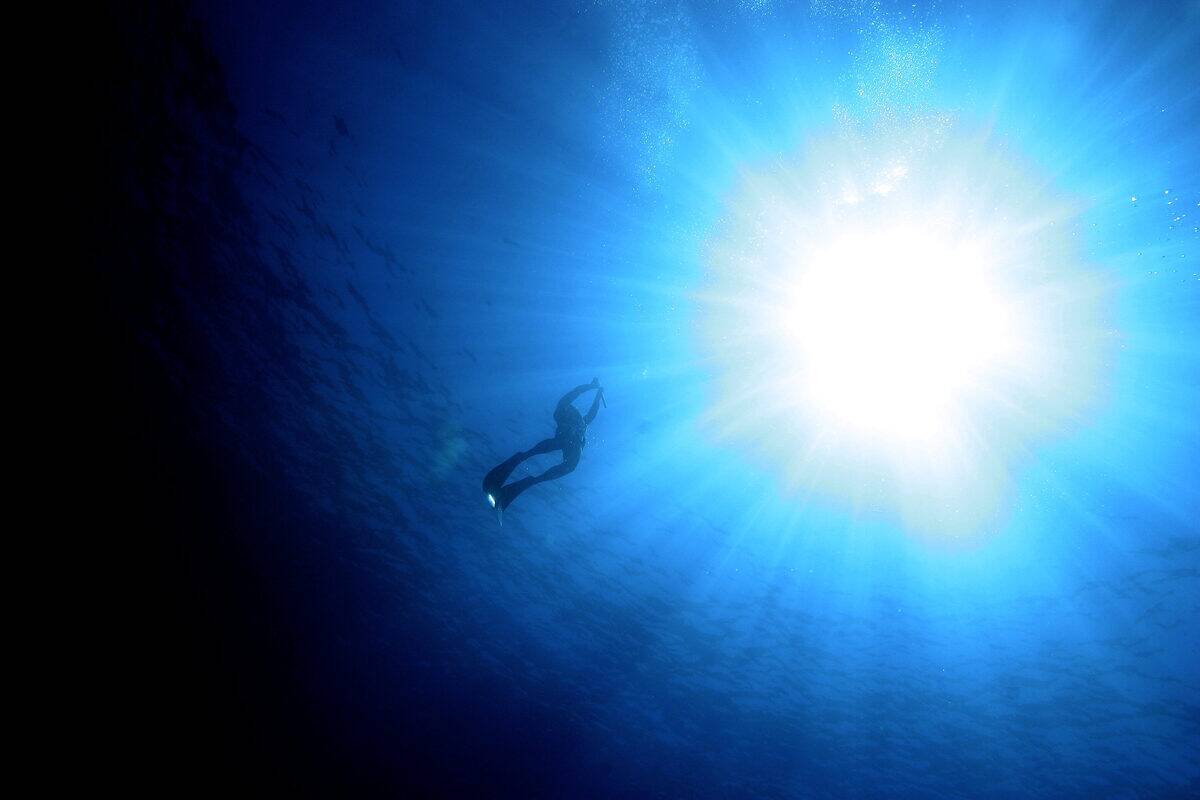 TOPSHOT-TURKEY-DIVER