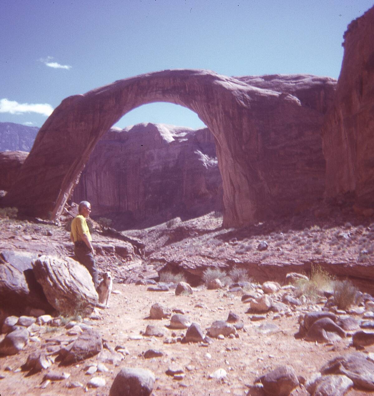 Tourist & His Dog Resting