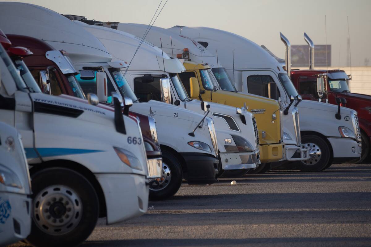 Trump Delays Mexico Tariffs By A Month After Sheinbaum Talk