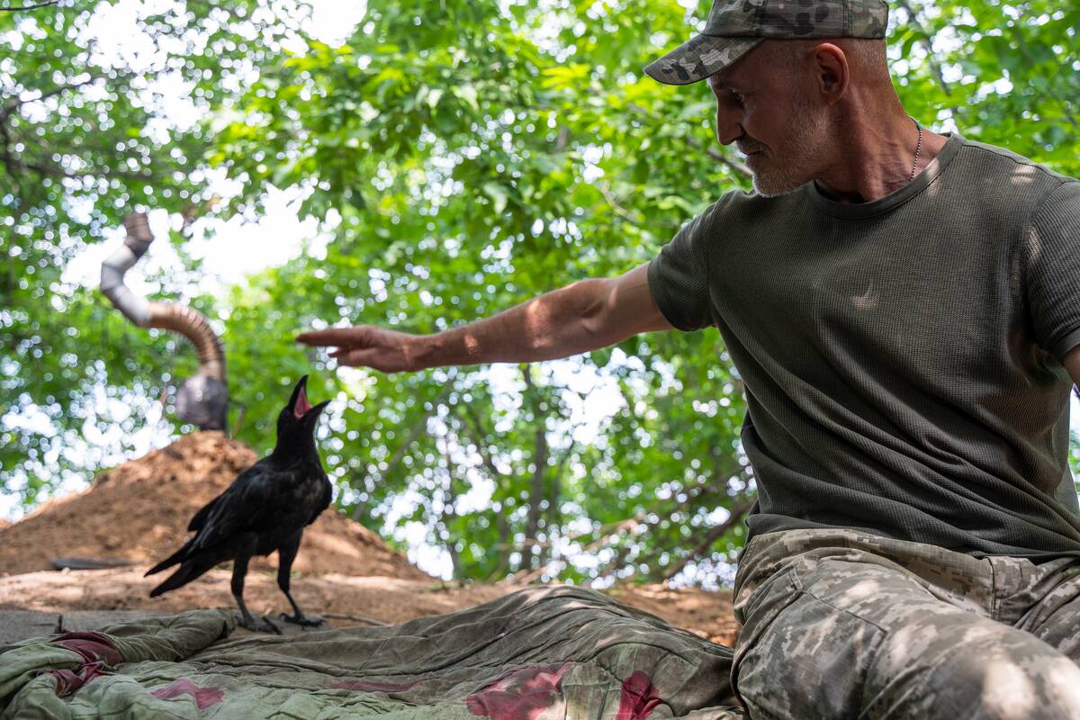 Ukrainian Military Of The 113th Kharkiv Defense Brigade Tamed The Crow