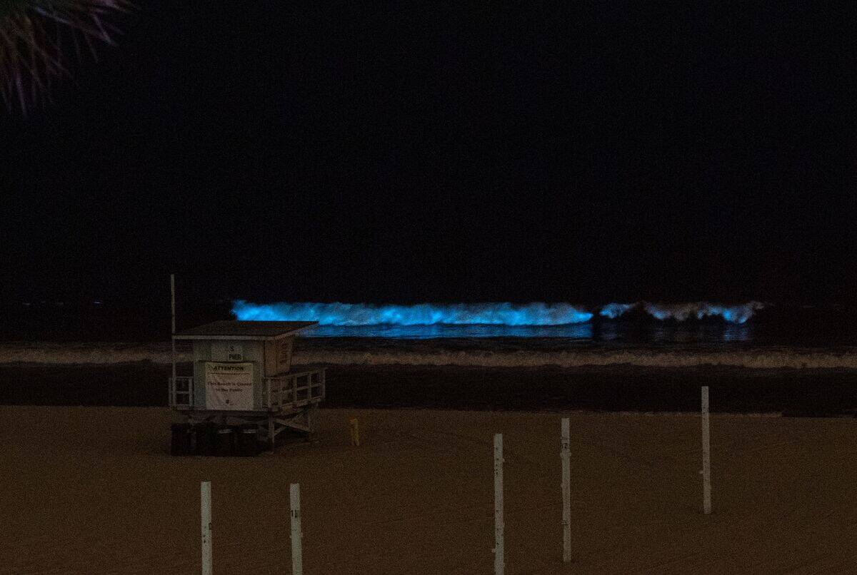 US-OCEAN-WAVES-BIOLUMINESCENCE