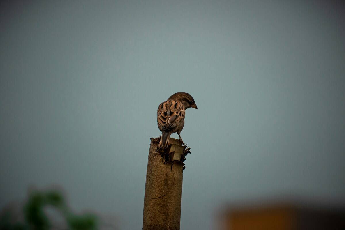 vignesh-jayaprakash-5exiYVQHSrE-unsplash