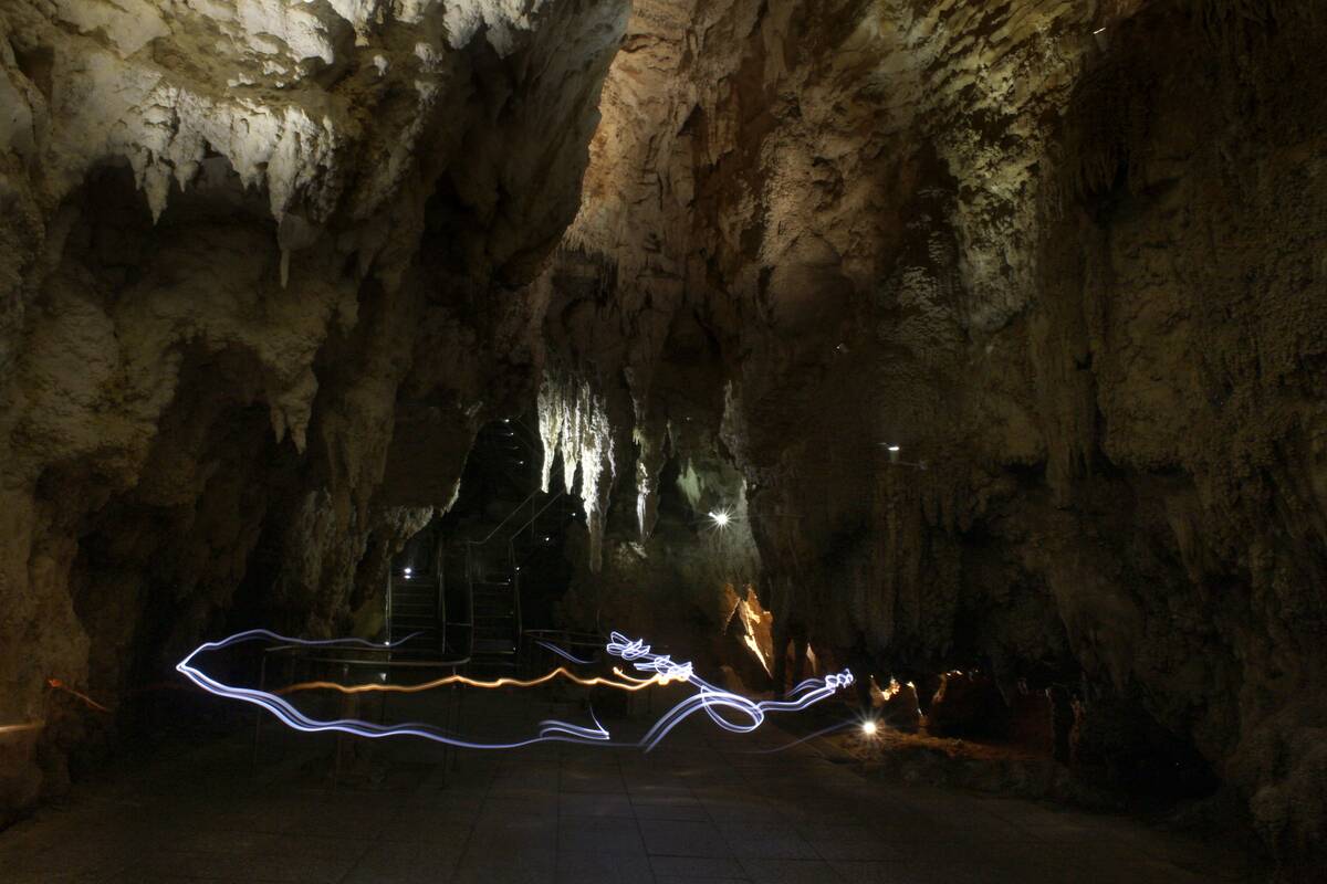 WAITOMO CAVES - NEW ZEALAND