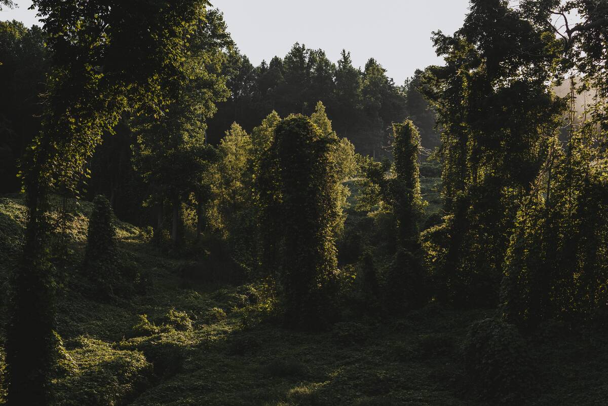 When Wall Street Showed Up, Fortunes Sank in This Small American Town