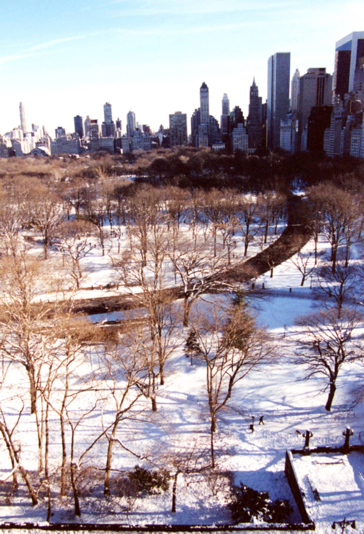 Winter View Of Central Park In New York City
