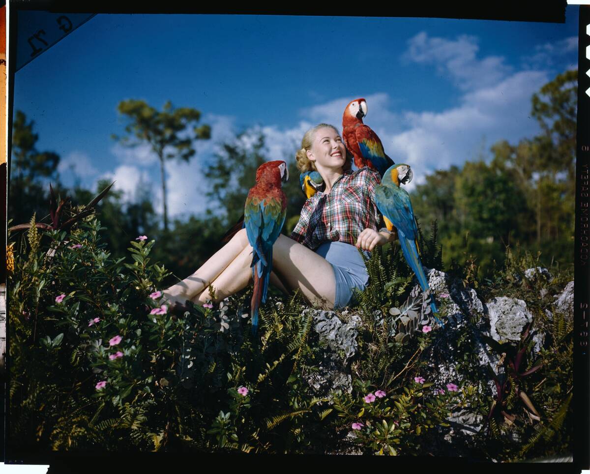 Young Woman Sitting in Grass with Colorful Birds