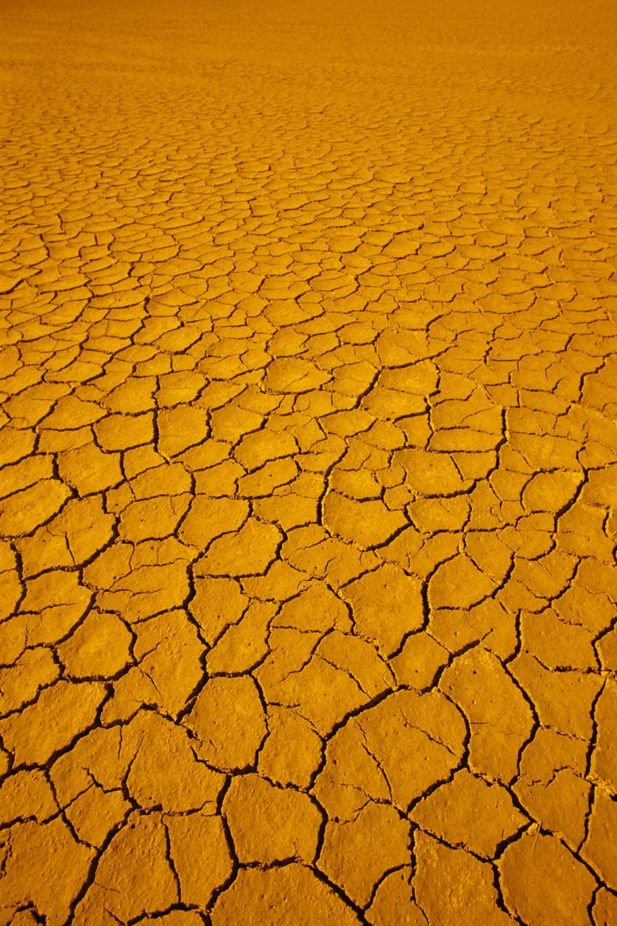 1980s DRY CRACKED DESERT DIRT