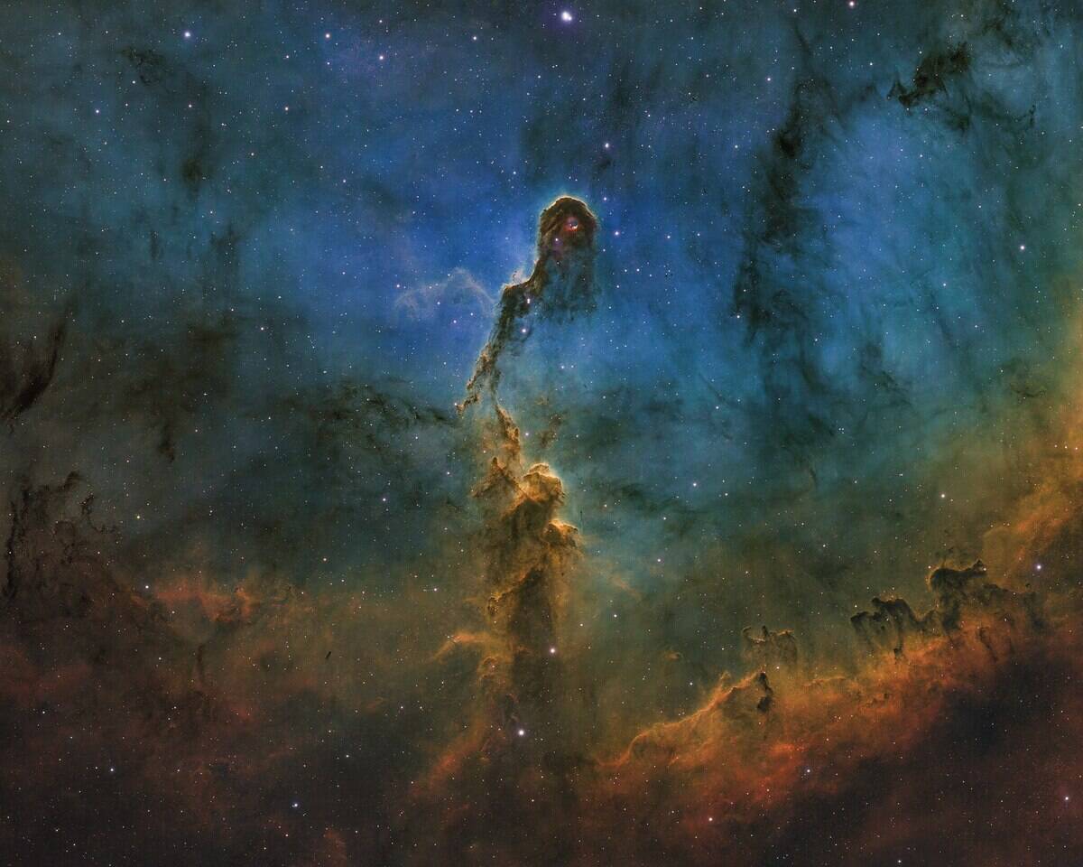 2048px-Elephant's_Trunk_Nebula_(IC_1396A)_in_Hubble_Palette