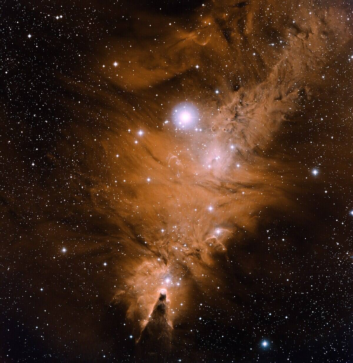 2048px-NGC_2264,_Cone_Nebula,_Fox_Fur_Nebula_(noao-04493)