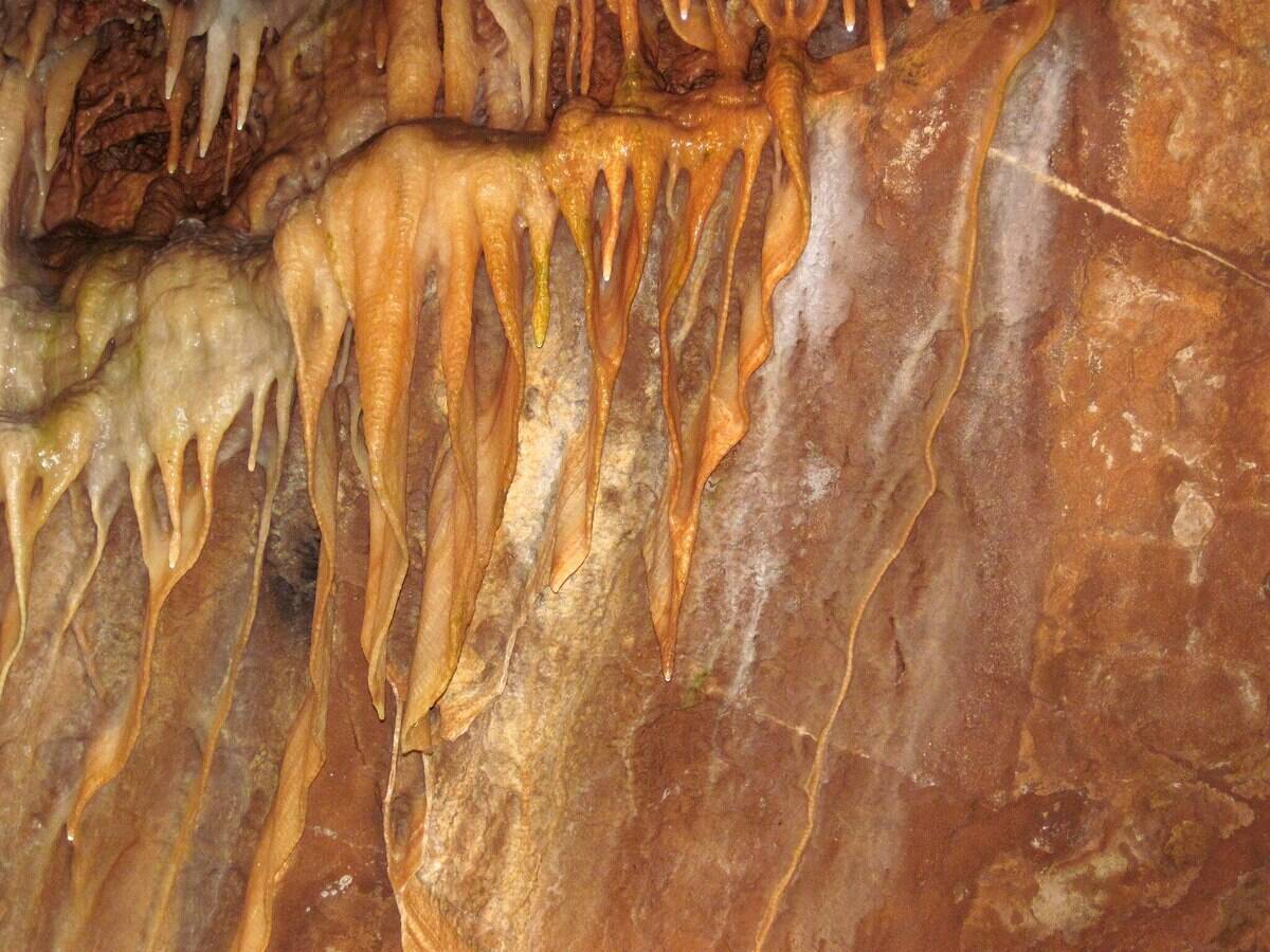 2048px-Travertine_draperies_(_cave_bacon_)_(Shenandoah_Caverns,_Quicksburg,_Virginia,_USA)_5