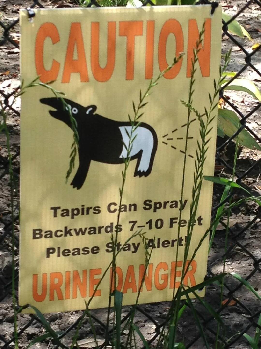 7KI_W39VioxP2igo8Gw7oY-d0x087LqHOhkfBy7Gp4I