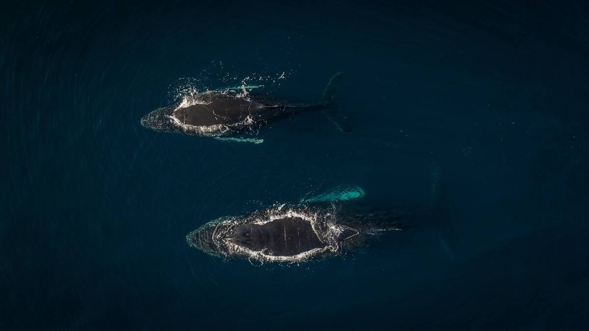 9th National Antarctic Science Expedition team returns to Turkiye