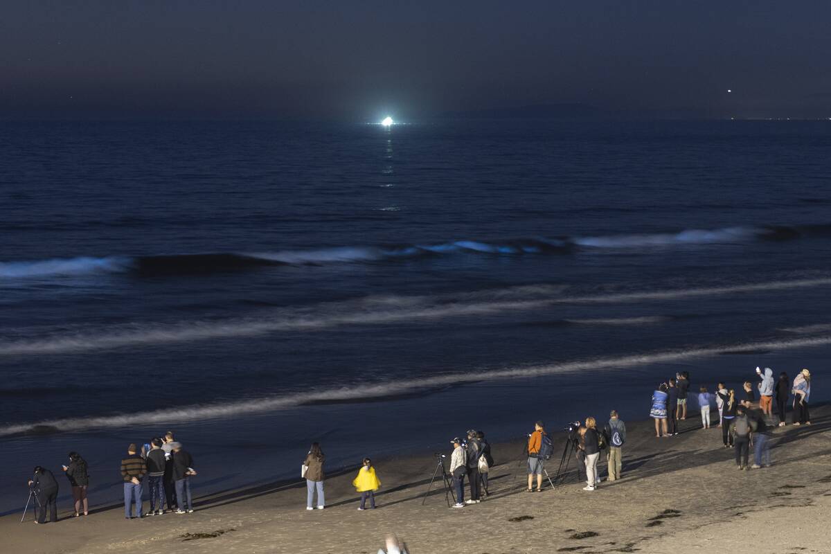 Bioluminescent Waves In San Diego
