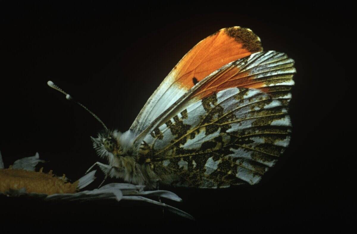 GettyImages-122227497