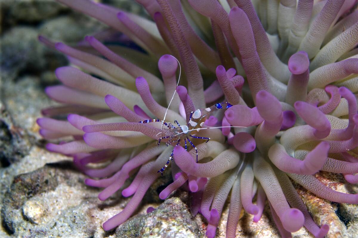 GettyImages-146141506