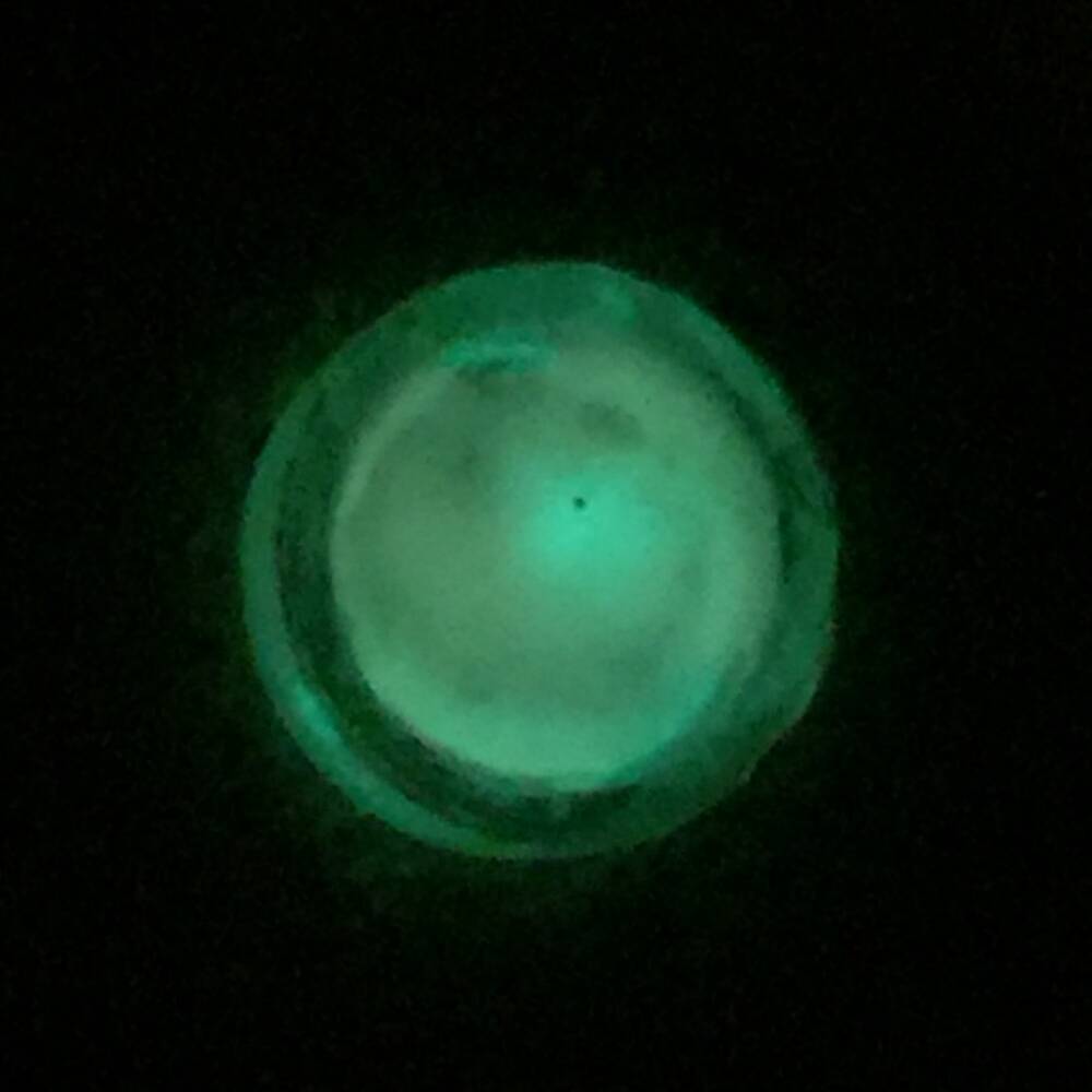 Promethium.bouton_(cropped)