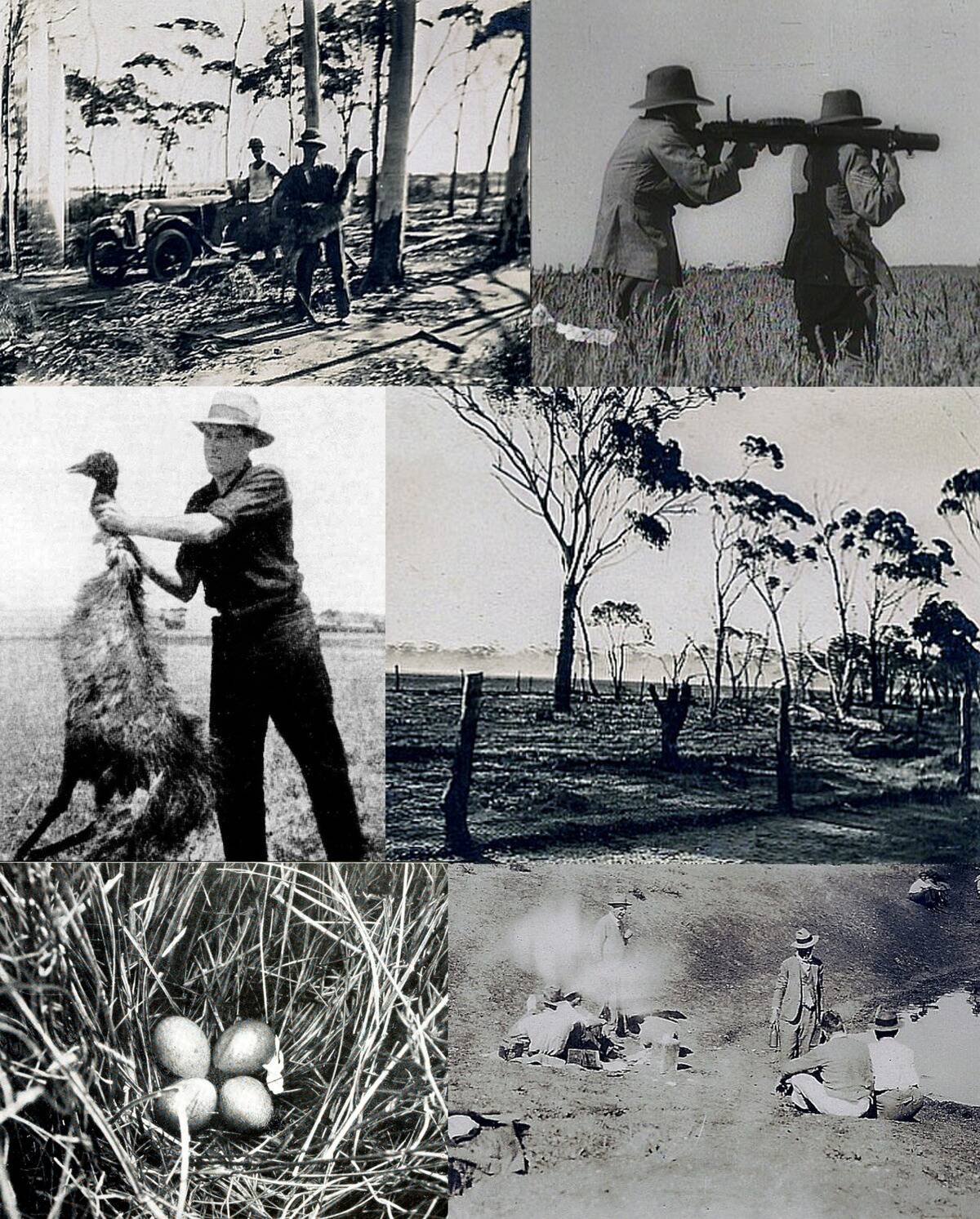 TheGreatEmuWarcolage (1)