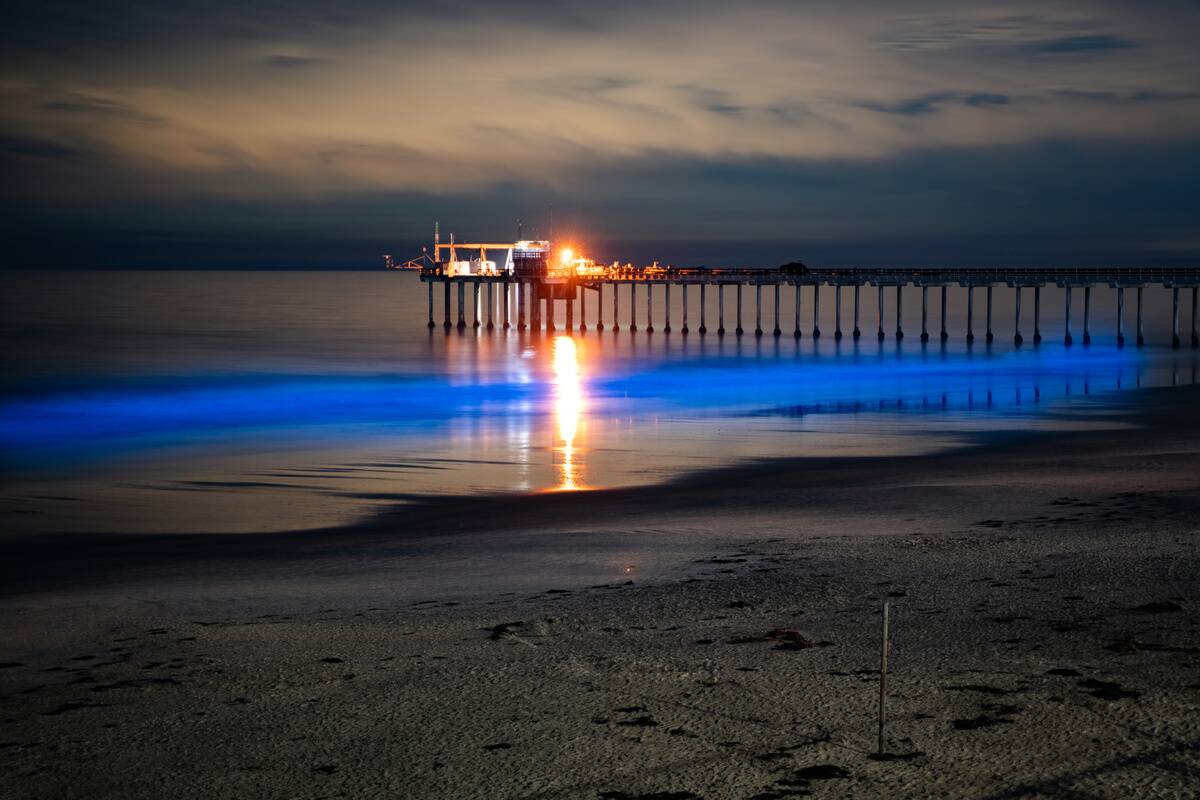 A general view of La Jolla Scripps Shoreline during the...