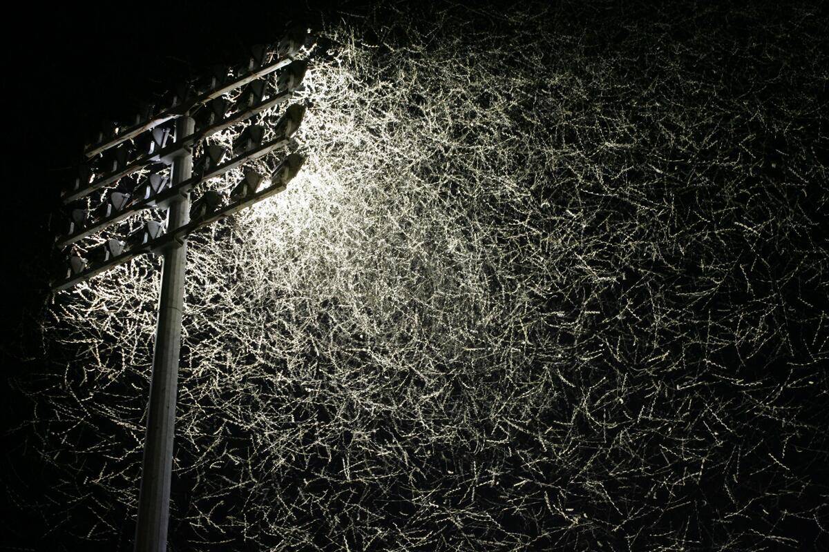 A slow exposure shows bogong moth trails in front of one of the light towers at