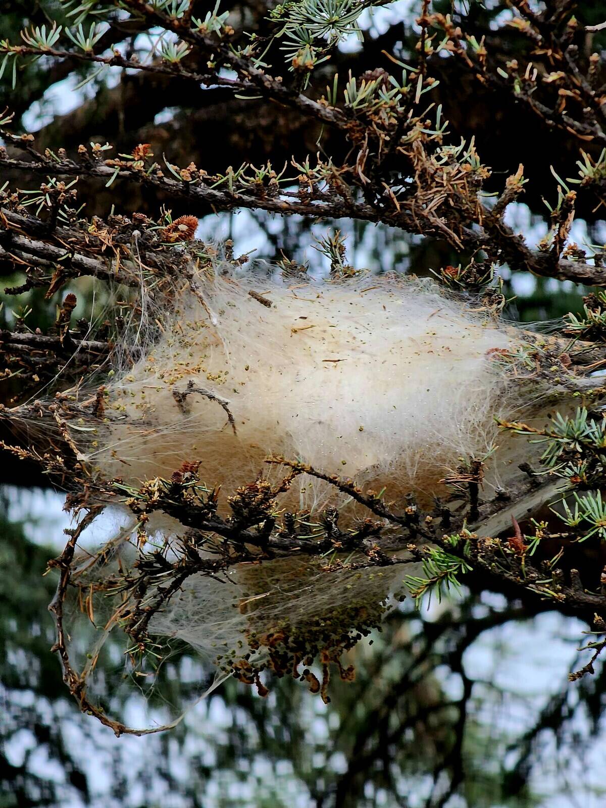 abdelhalim-saidi-5BZfTn4t2PY-unsplash