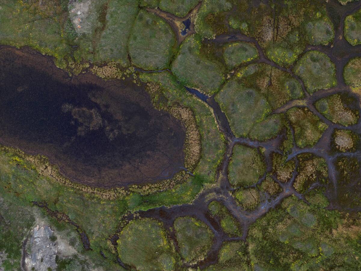 As Global Warming Intensifies, Greenland Is Becoming Greener