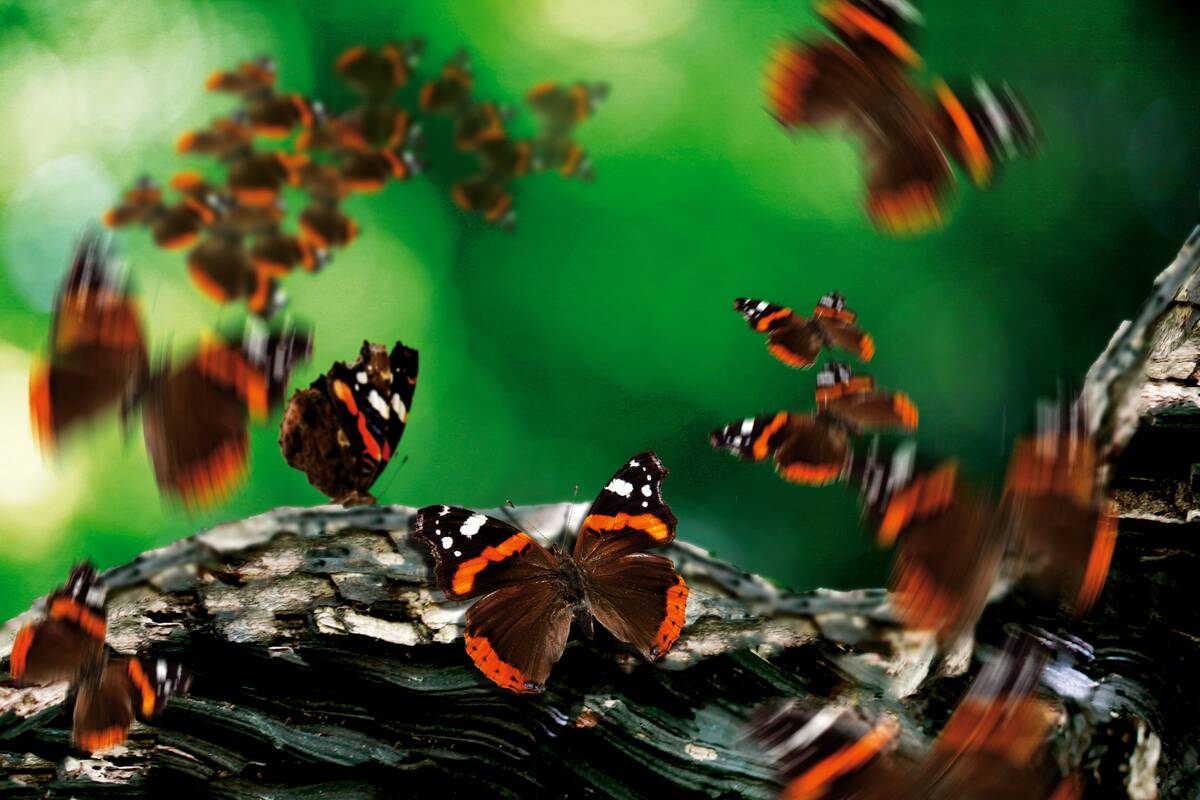 Assorted Outdoors Shoots